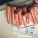 Jewel-Osco - Terrible experience! - Photo 1 - comment #2057591