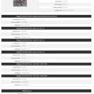 Robert Arron Minor Owner of Texas International Resources of Dallas, Texas - oil and gas well drilling fraud - Photo 1 - comment #2273600