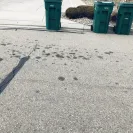 Waste Management [WM] - garbage trucks leaking oil - Photo 1 - comment #2020090