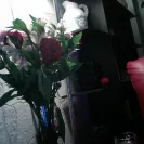 Bloomex - wilted flowers delivered - Photo 1 - comment #1776903