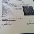Gold's Gym - serious injuries due to disqualified trainers - Photo 3 - update #1925132
