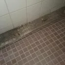 Thousand Trails - horrible - Photo 1 - update #1928592
