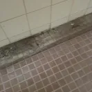 Thousand Trails - horrible - Photo 1 - update #1928593