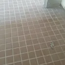 Thousand Trails - horrible - Photo 1 - update #1928597