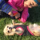 Djchihuahua - Fraud - Photo 1 - comment #1679527