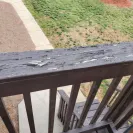 Cabot Stain - Peeling problem - Photo 1 - comment #2225224