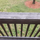 Cabot Stain - Peeling problem - Photo 6 - comment #2225224