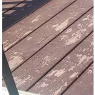 Cabot Stain - Peeling problem - Photo 1 - comment #2383486