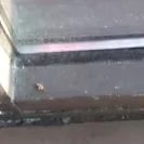Taco Cabana - service - Photo 2 - update #1931466