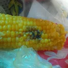 Church's Chicken - charged extra for cashier's order mistake - Photo 5 - comment #1987245