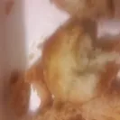 Church's Chicken - charged extra for cashier's order mistake - Photo 1 - comment #2032122