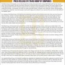 Etihad Group Of Companies - fake company, fake job offers, fake communication - Photo 1 - comment #2006104