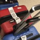 Etihad Airways - baggage delay - Photo 1 - update #1972775