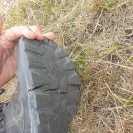 Ecco - biodegradable shoes - Photo 1 - comment #2249313
