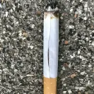 Imperial Tobacco Australia - White ox tobacco - Photo 1 - comment #2119452