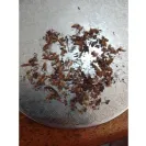 Imperial Tobacco Australia - White ox tobacco - Photo 1 - comment #2282464