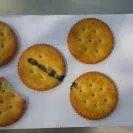Ritz Crackers - Ritz cracker - Photo 2 - comment #2056555