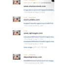 TrainPetDog - Scam - Photo 1 - comment #2247660