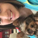 YorkieBabies.com - Sold dog without and papers - Photo 1 - comment #1730286