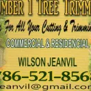 Florida Power & Light [FPL] - tree trimming - Photo 1 - update #2067098