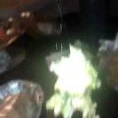 Chipotle Mexican Grill - health hazard food quality - Photo 1 - update #2071452