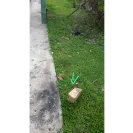 J&T Express - Delivery - Photo 1 - comment #2285898
