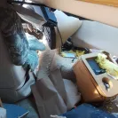 Progressive Casualty Insurance - pace arrow motorhome claim - Photo 1 - update #2099540