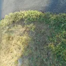 FedEx - Speeding driver - Photo 1 - comment #2246968