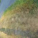 FedEx - Speeding driver - Photo 3 - comment #2246968