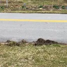 FedEx - Fedex truck damaging my property while delivering. - Photo 1 - comment #2224021
