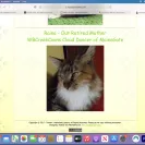 Giant Gate Mainecoon Cattery - Maine coon kitten and pet delivery - Photo 1 - comment #2207888