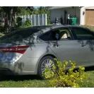 Walmart - Delivery driver - Photo 1 - comment #2387703