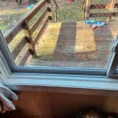 American Craftsman Window and Door Company - windows - Photo 2 - comment #2280164