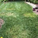 TruGreen - do not keep promises! - Photo 1 - comment #2389599