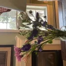 Avas Flowers - "tuscany" flower delivery - Photo 1 - comment #2240387