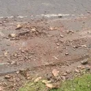 Chop And Drop Tree Service of Virginia Beach - Tree removal - Photo 3 - comment #2425951