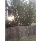 Power Home Remodeling - Still no windows... - Photo 1 - comment #2242316