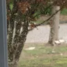 Power Home Remodeling - Still no windows... - Photo 1 - comment #2359835