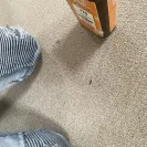 National Floors Direct - Carpeting  - Photo 1 - update #2228702
