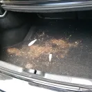 Hertz - bad service - Photo 1 - comment #1692721