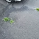 toyodad - Paving driveway job - Photo 4 - update #2239101