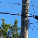 Oncor - New service request and a stable service utility pole - Photo 1 - update #2235401