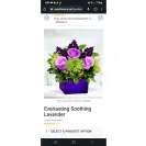 Avas Flowers - Flowers i got delivered werent the ones I ordered and they were dying - Photo 1 - update #2241753