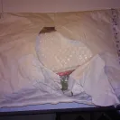 United States Postal Service [USPS] - damaged and missing mail - Photo 1 - comment #1679158