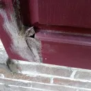 Mr. Rooter - Poor drain repair - Photo 2 - comment #2259811
