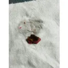 Yoplait - Meat like substance found in yoplait yogurt after consuming over half for product - Photo 2 - comment #2415199