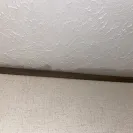 Clayton Homes - Leaking/Mold - Photo 1 - update #2262709