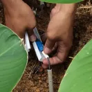 Astro Malaysia Holdings - bad service / repeatation - Photo 1 - comment #1502810