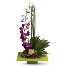 Rita's Florist - Dreadful service wrong flowers wrong container wrong cost - Photo 2 - update #2277106