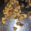 Purina - Purina One Cat indoor weight control food  - Photo 2 - update #2277741